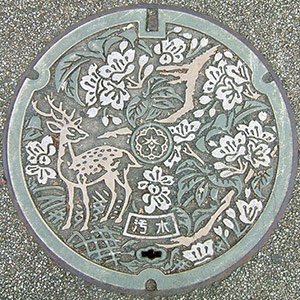 Circle manhole art